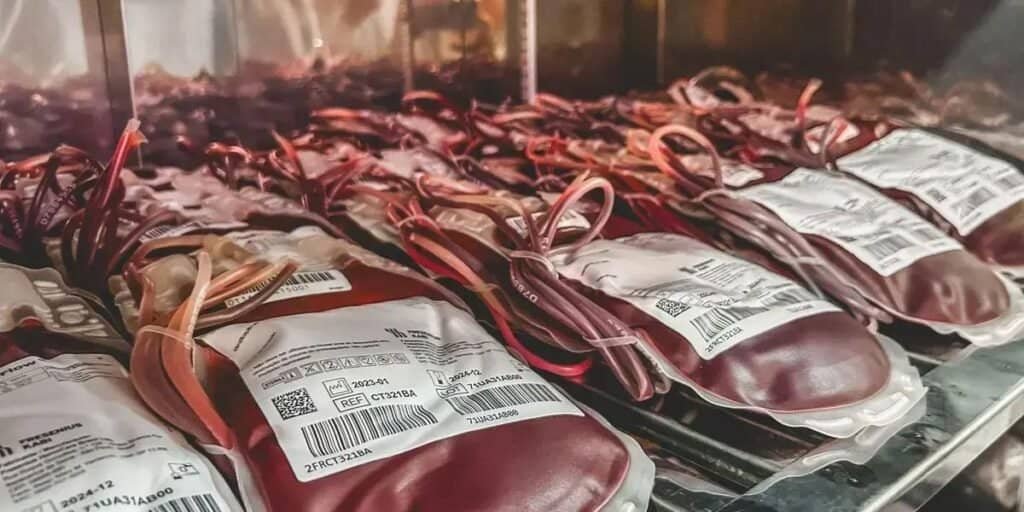 Dia Mundial do Doador de Sangue: A importância da doação