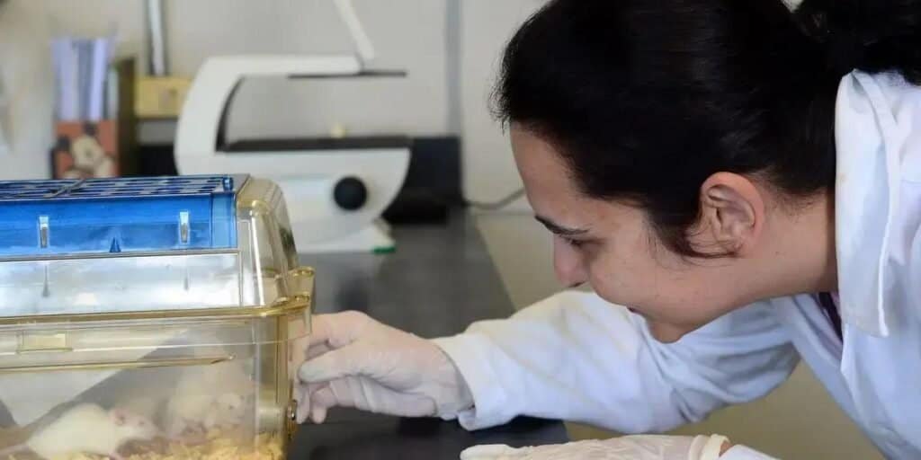 Novo biotecido de fígado promete revolucionar testes de toxicidade