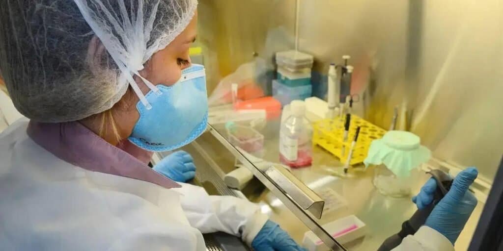 Avanços na vacina contra o vírus Zika