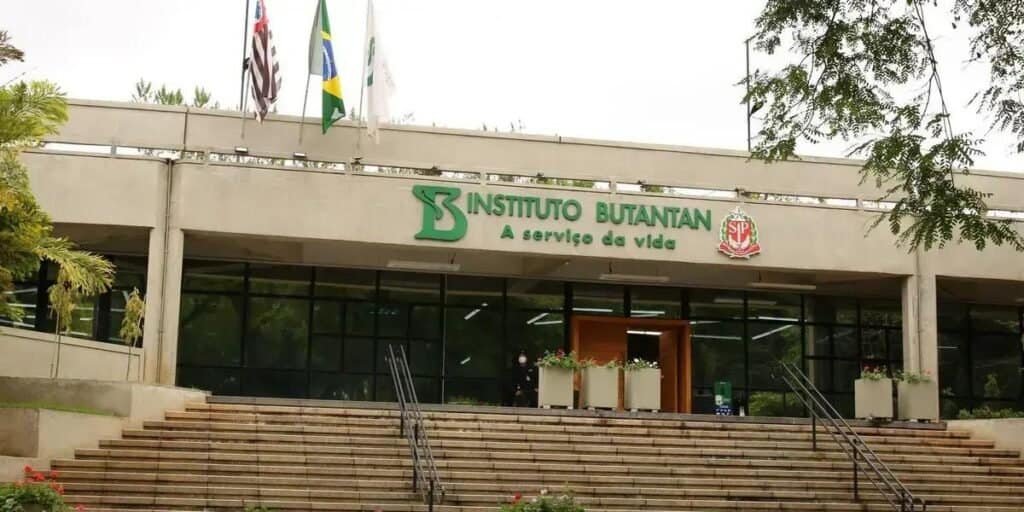 Butantan inicia testes da vacina contra o H5N8
