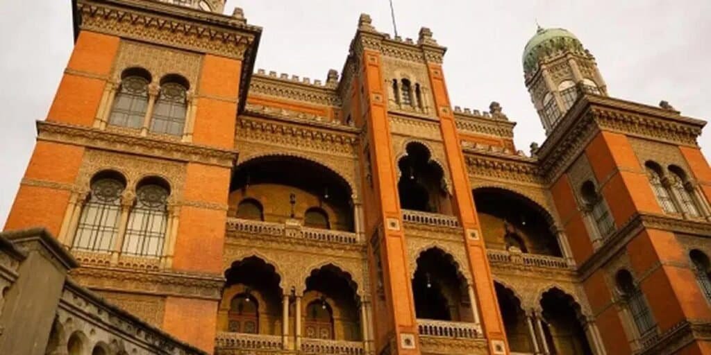 Casos de VSR e Influenza A estão em queda no Brasil