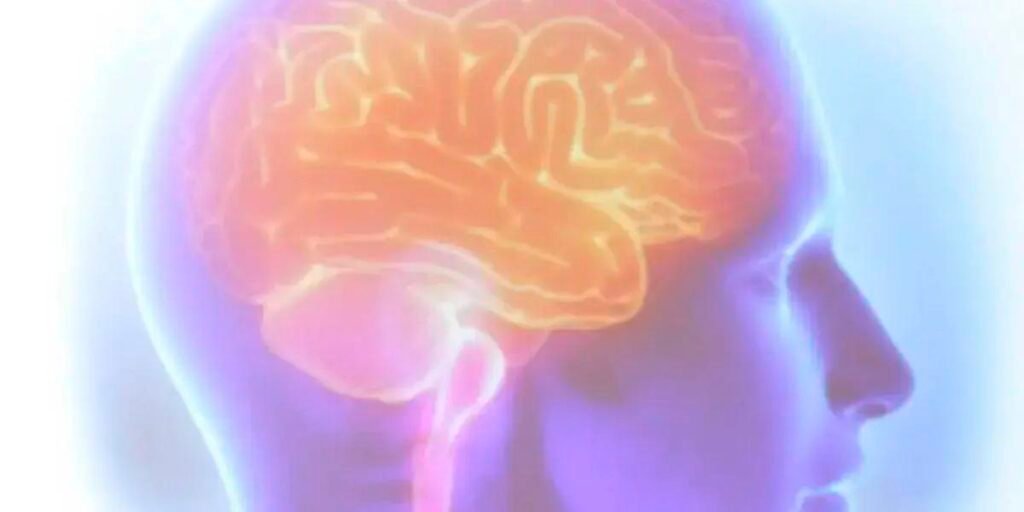 Custo e internações por AVC crescem no Brasil