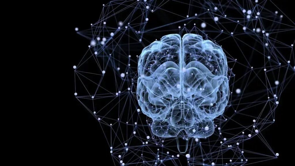 Como os Sinais do Dia a Dia Influenciam Seus Hábitos