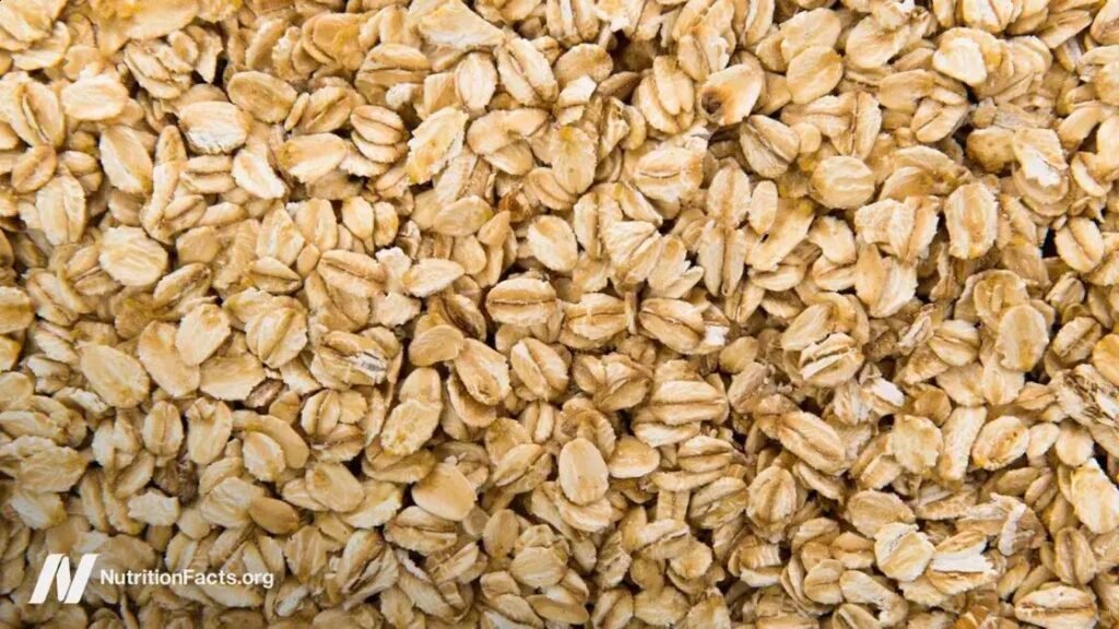 Impacto das Mycotoxinas sobre a Saúde