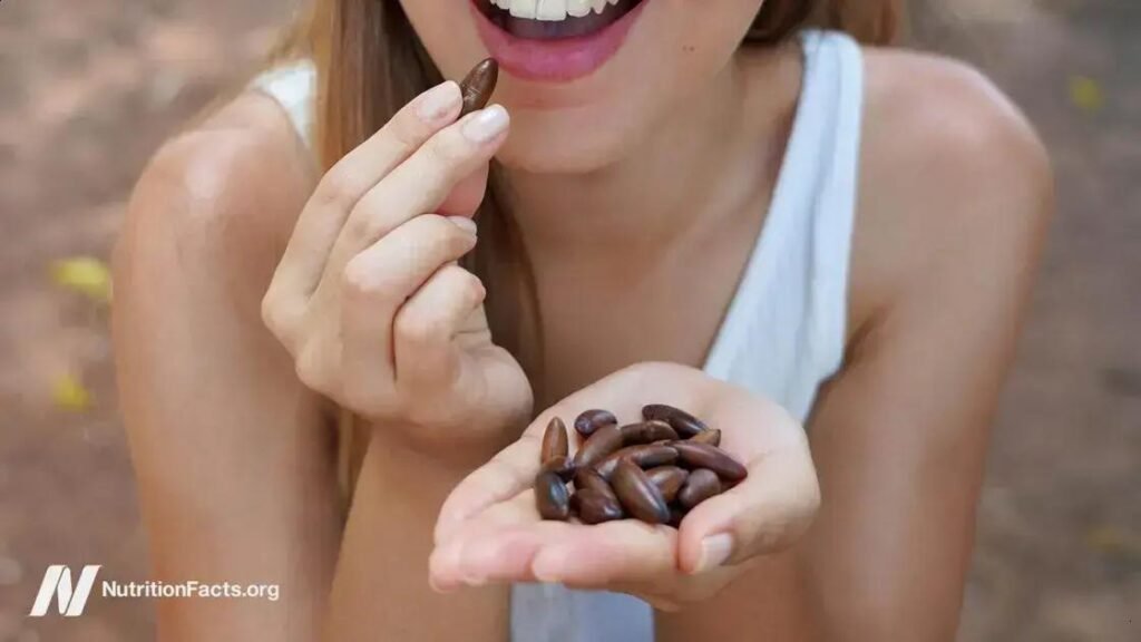 Os Benefícios dos Baru Nuts para a Saúde