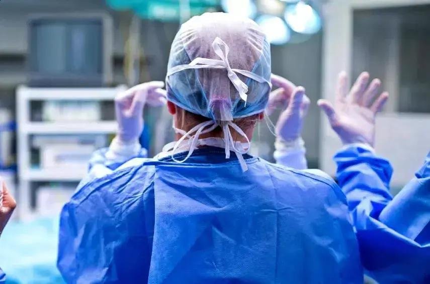 Xenotransplante: Avanços e Desafios para Transplantes no Brasil