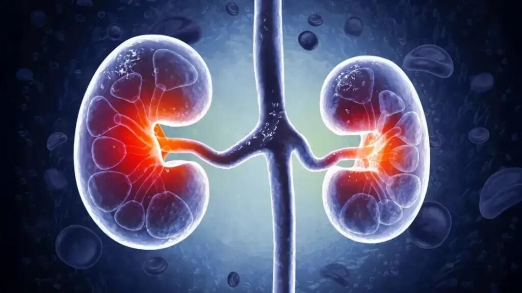 Mismatch em Testes de Sangue Pode Indicar Risco Renal