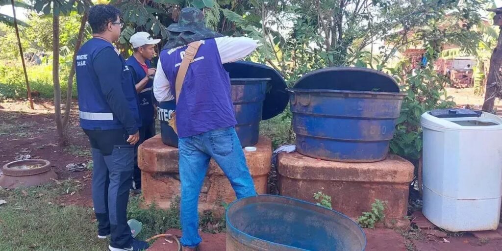 Chikungunya: surto em Dourados e impacto em ind&iacute;genas